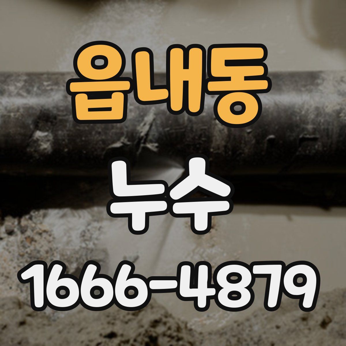 읍내동 누수