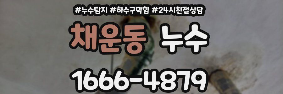 채운동 누수