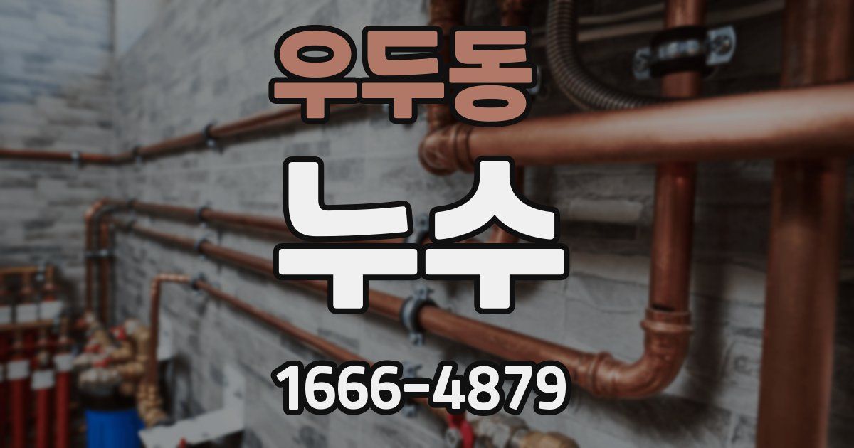 우두동 누수