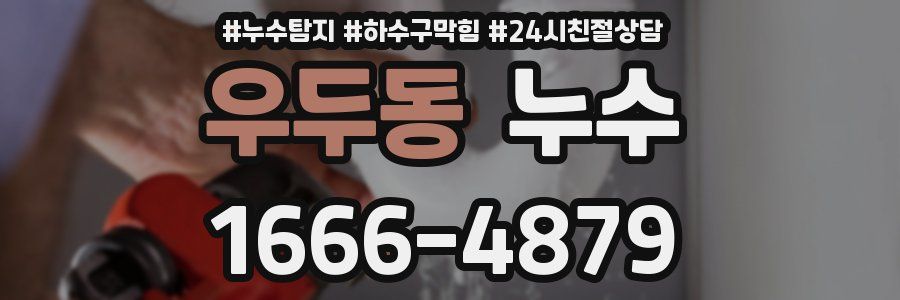 우두동 누수