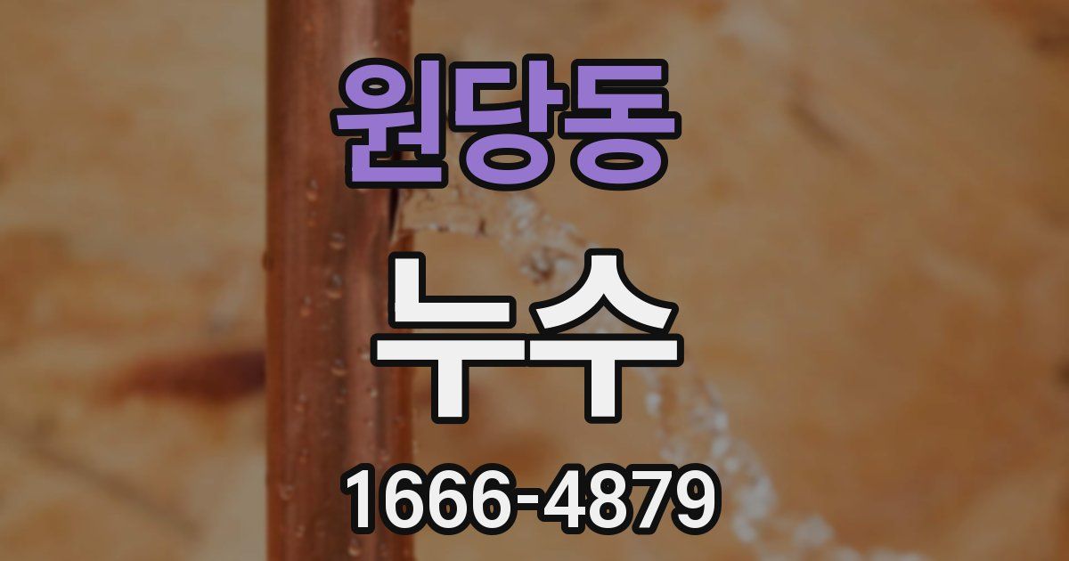 원당동 누수
