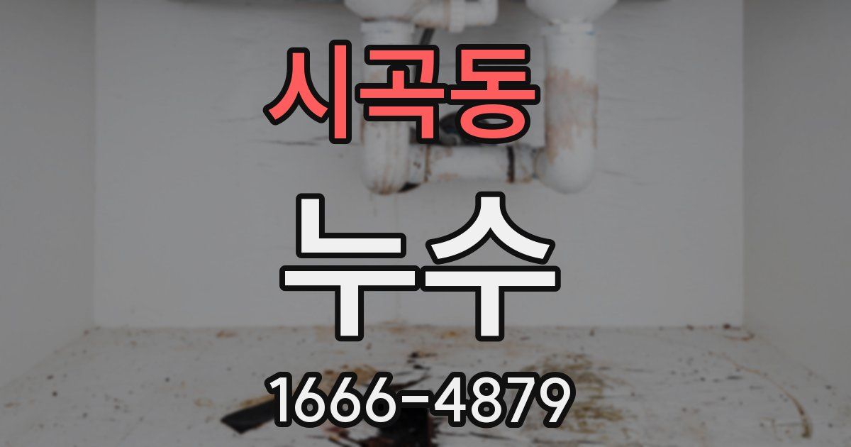 시곡동 누수
