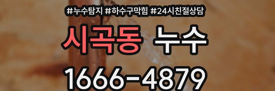 시곡동 누수
