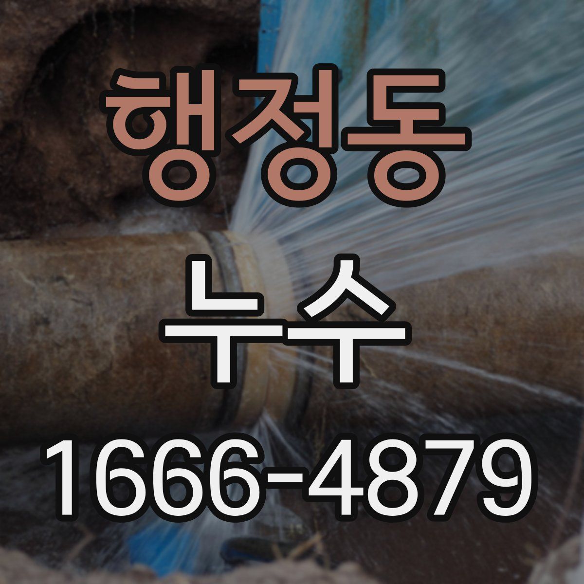행정동 누수