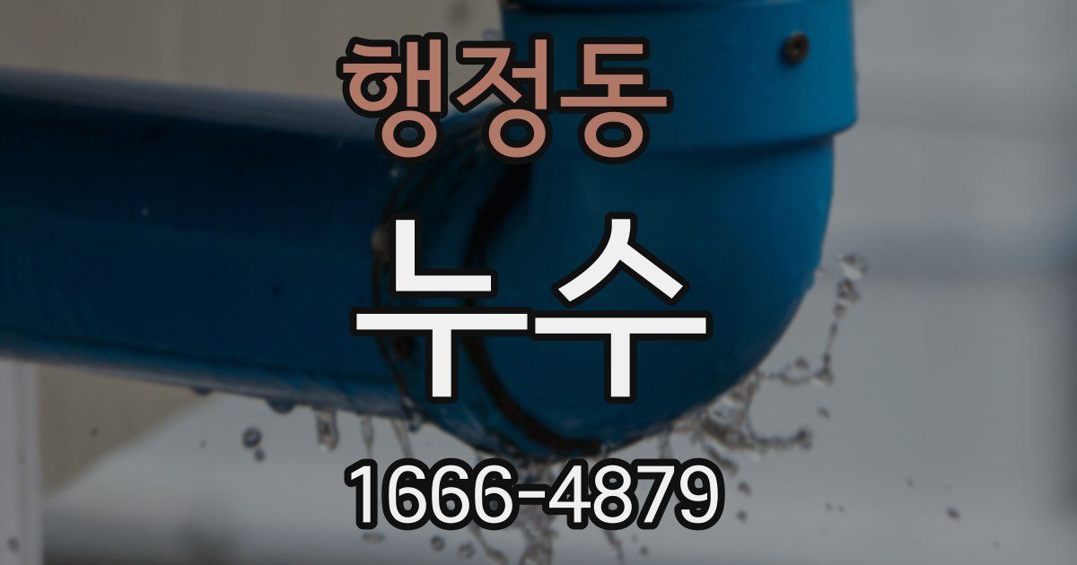행정동 누수