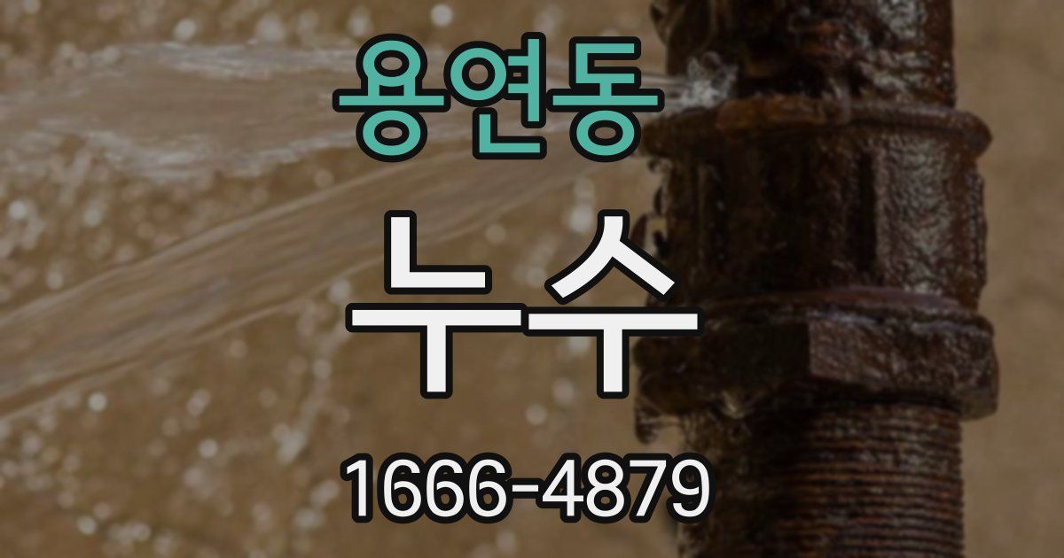용연동 누수