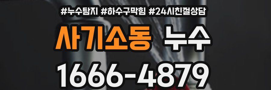 사기소동 누수