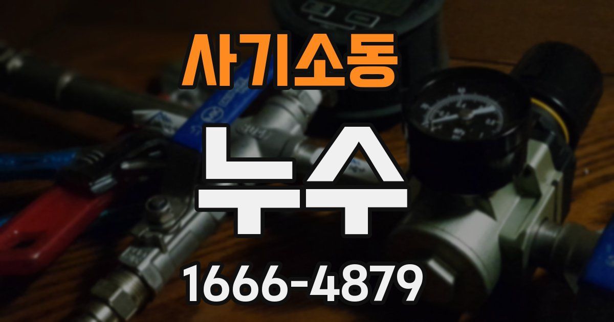 사기소동 누수