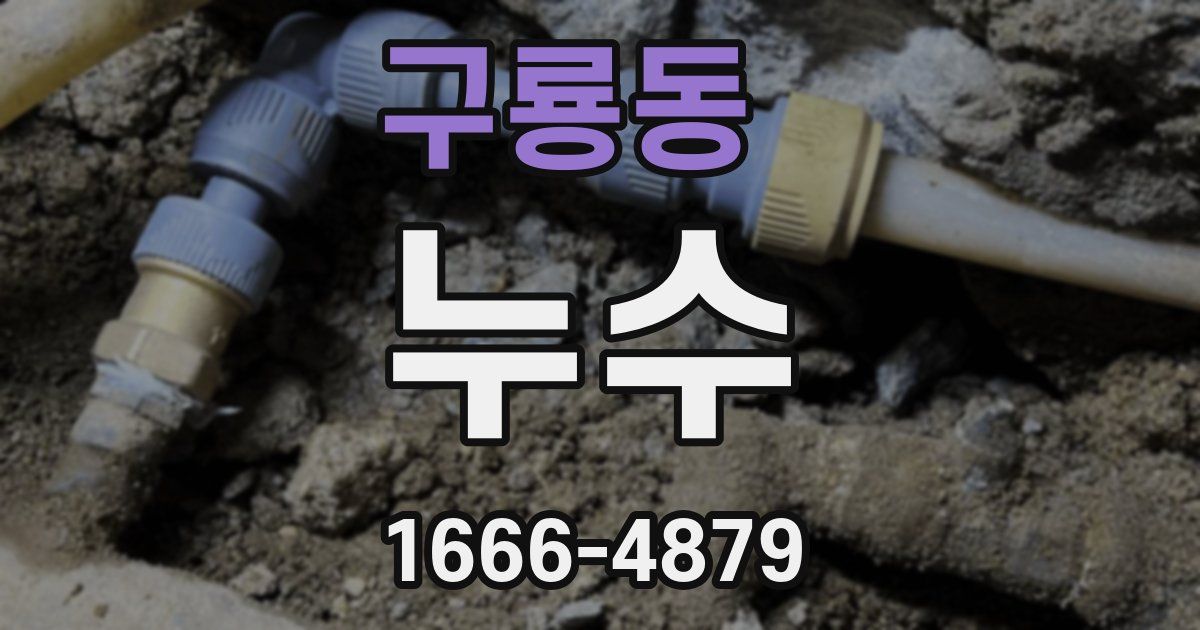구룡동 누수