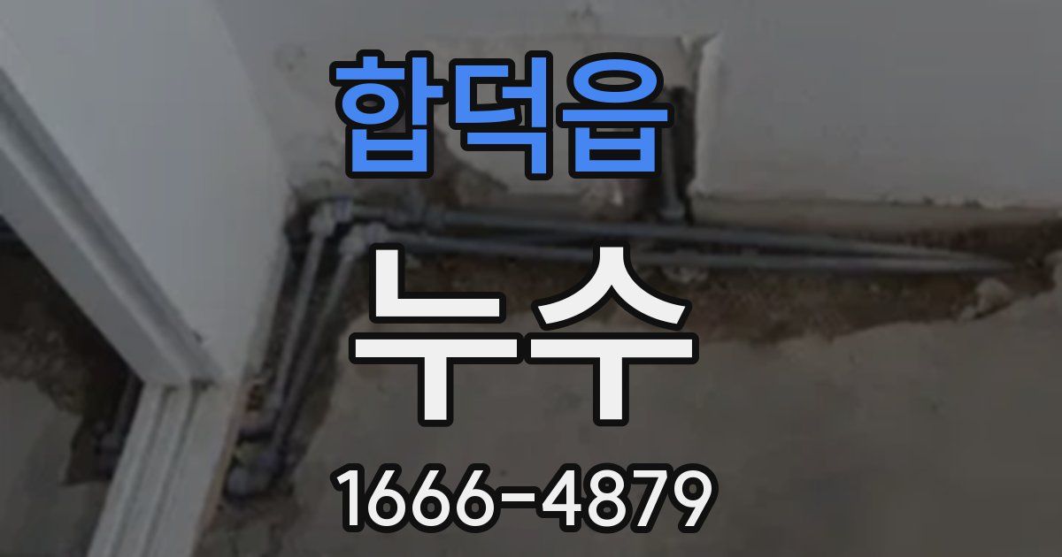 합덕읍 누수