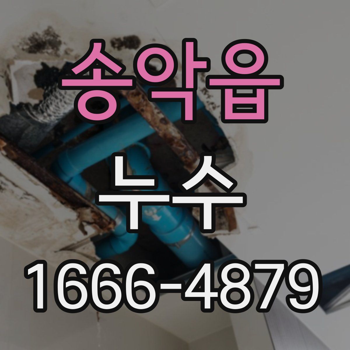 송악읍 누수