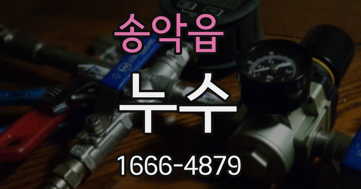 송악읍 누수