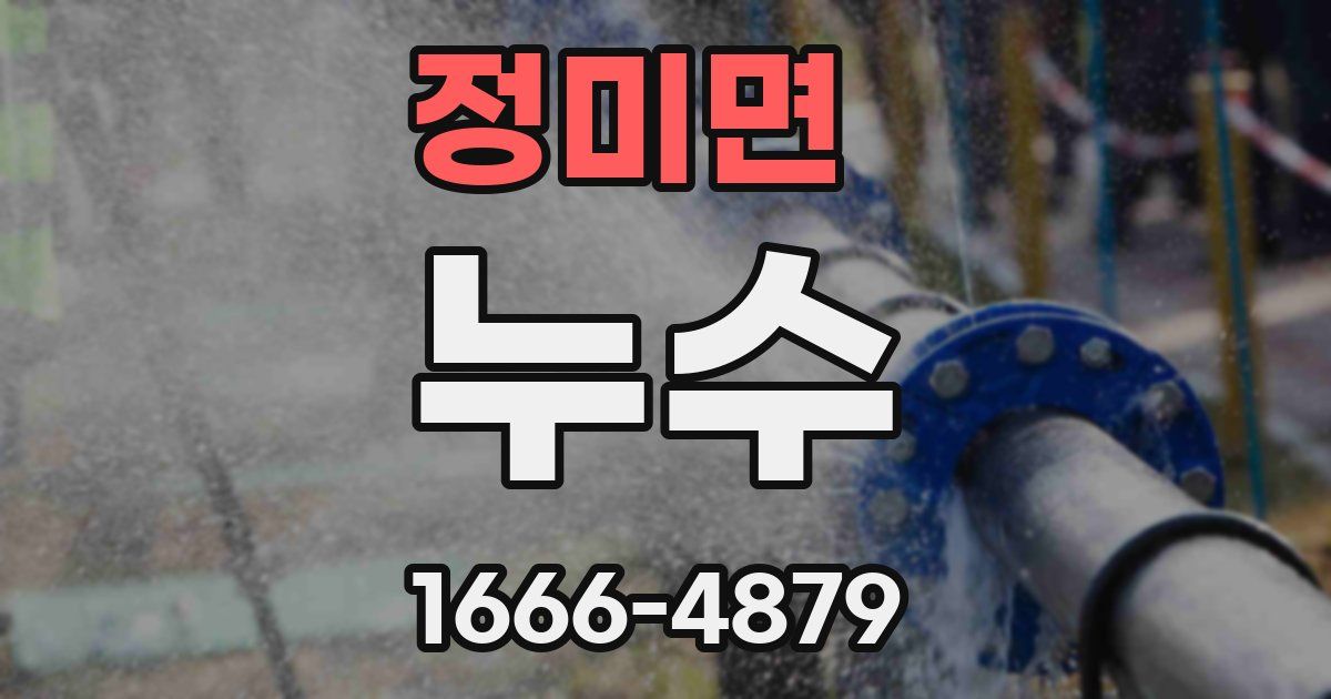 정미면 누수
