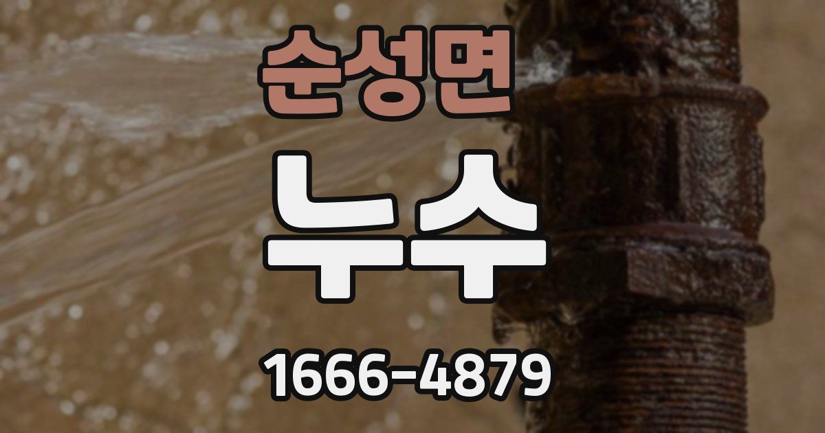 순성면 누수