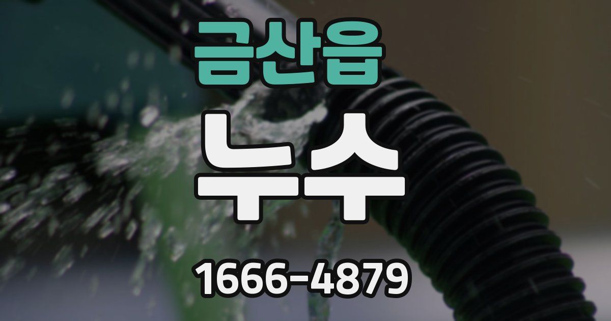 금산읍 누수