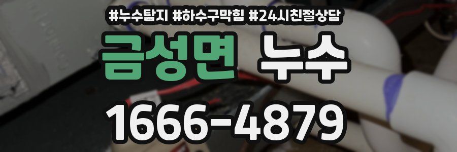 금성면 누수