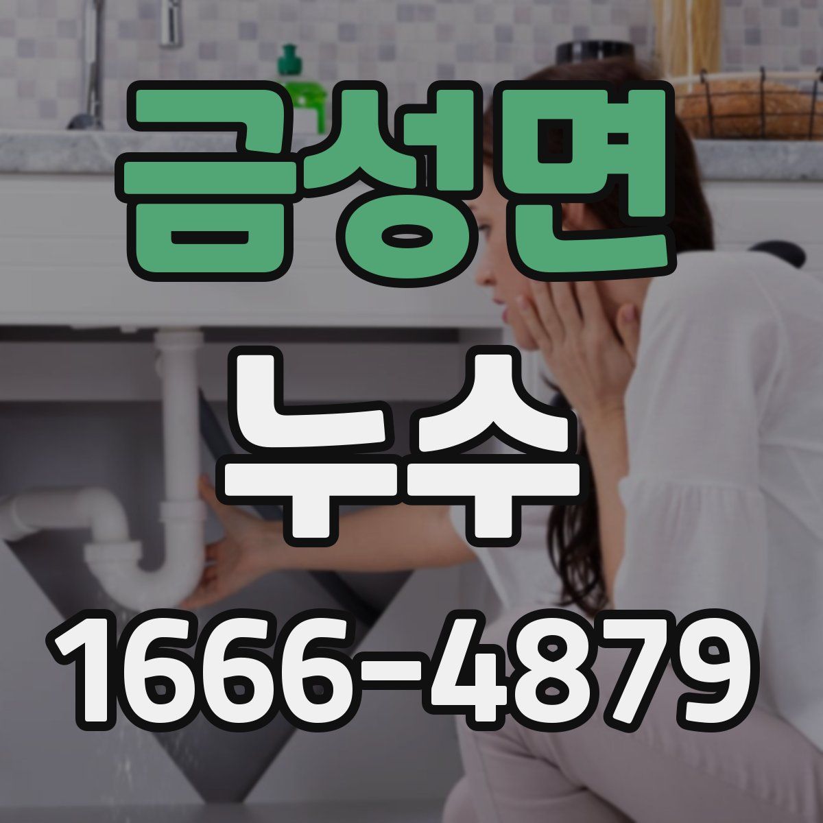 금성면 누수