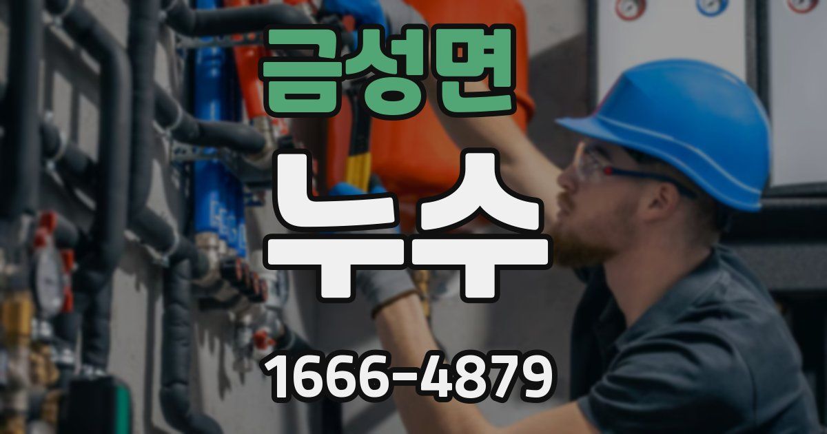 금성면 누수