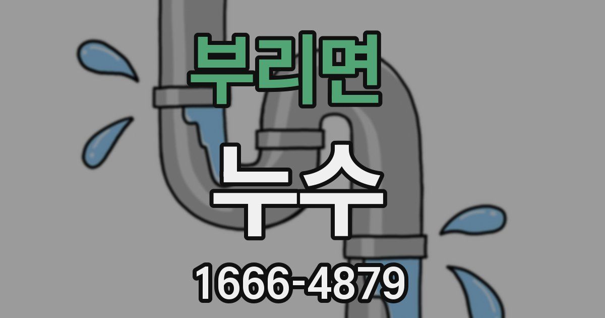 부리면 누수