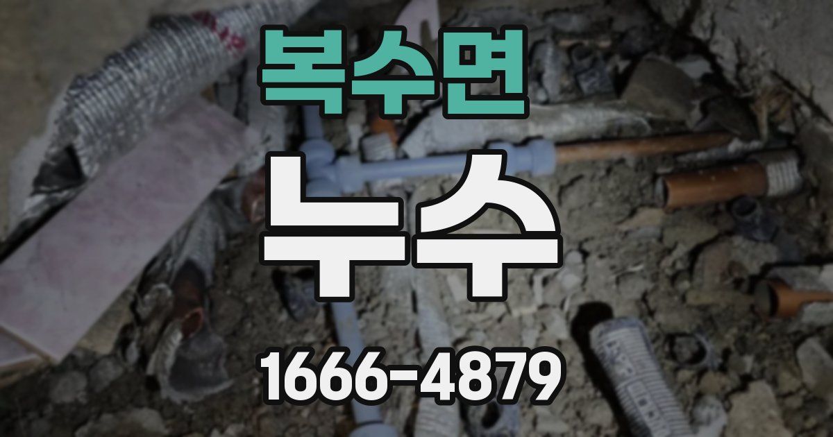 복수면 누수