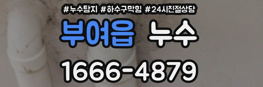 부여읍 누수