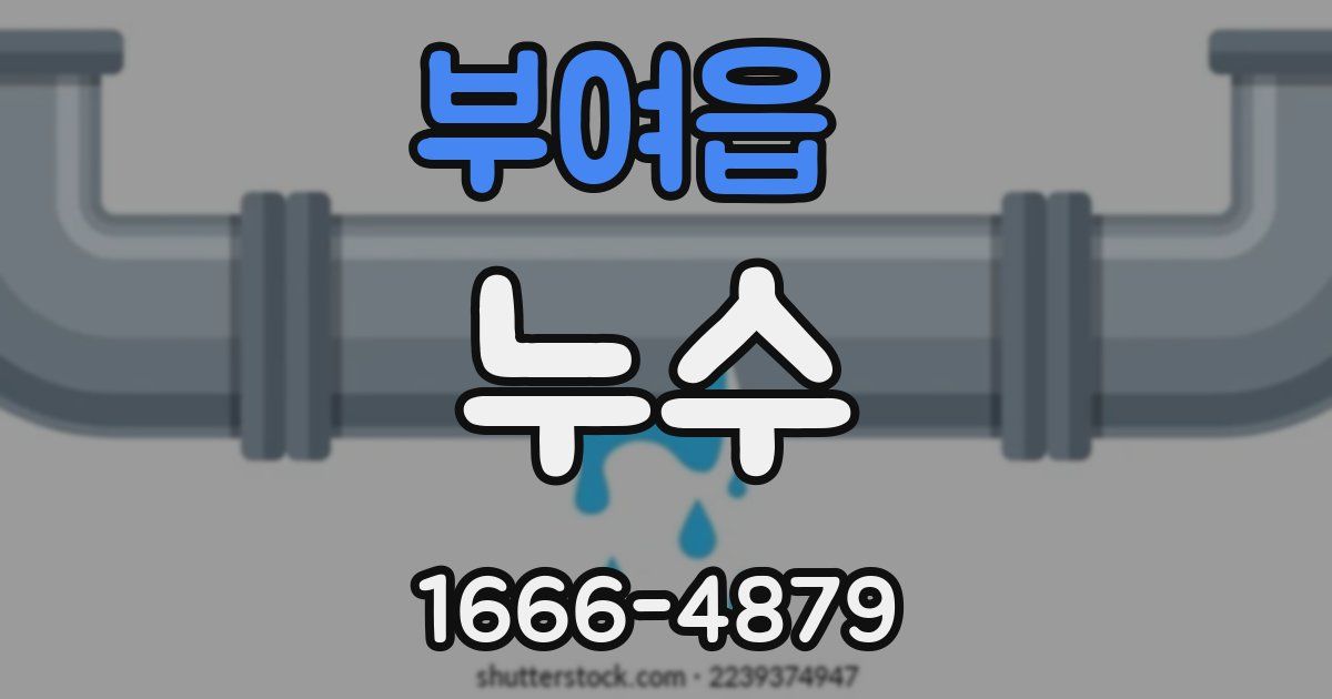 부여읍 누수
