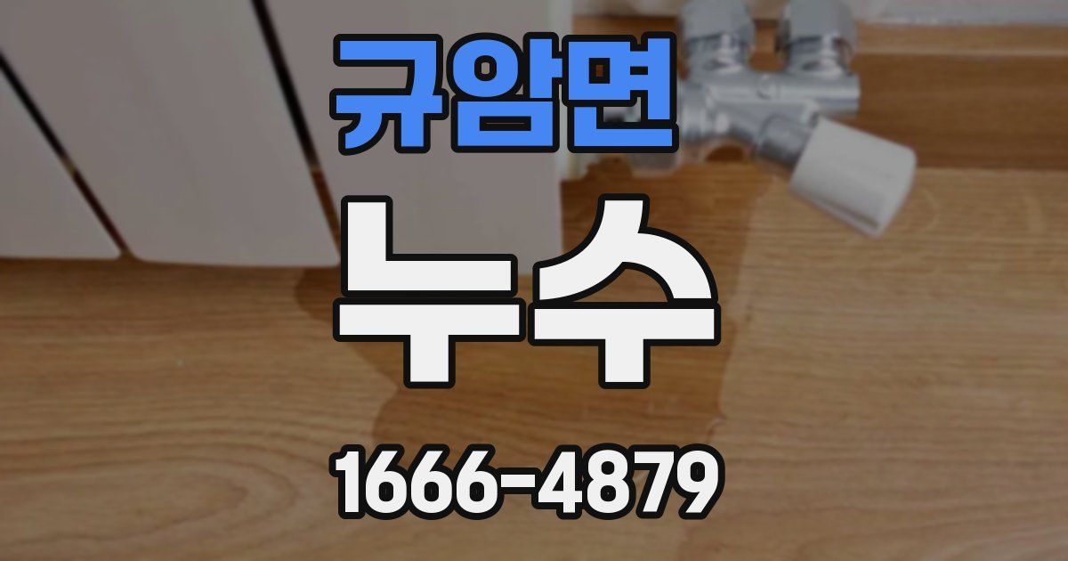 규암면 누수