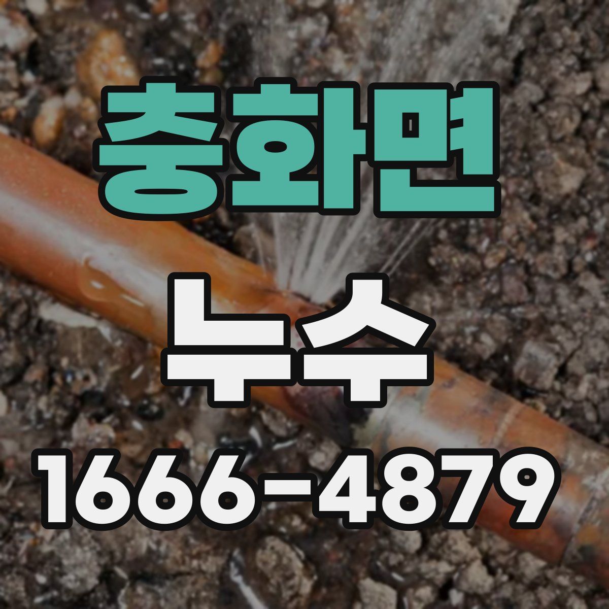 충화면 누수