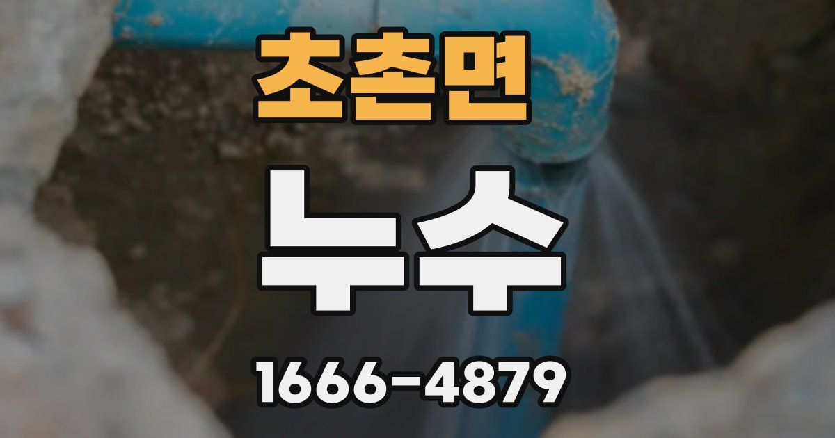 초촌면 누수