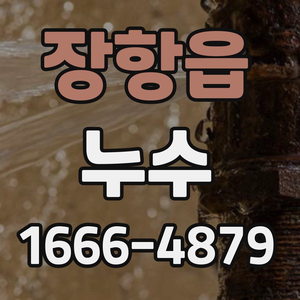 장항읍 누수