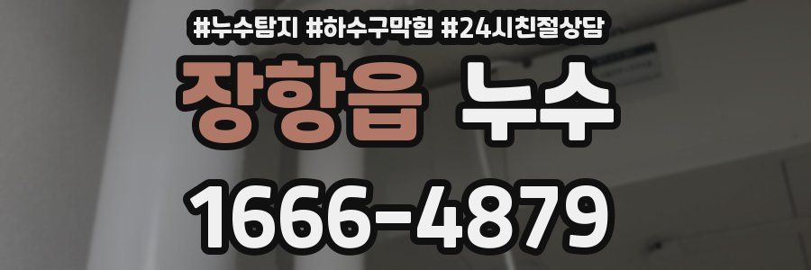 장항읍 누수