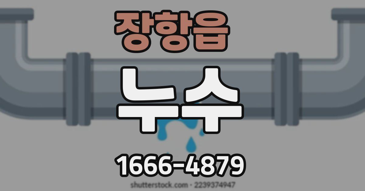 장항읍 누수