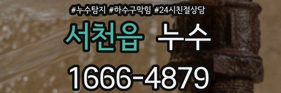 서천읍 누수