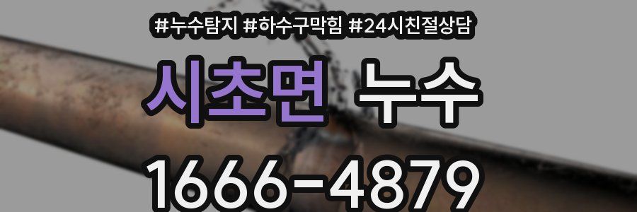 시초면 누수