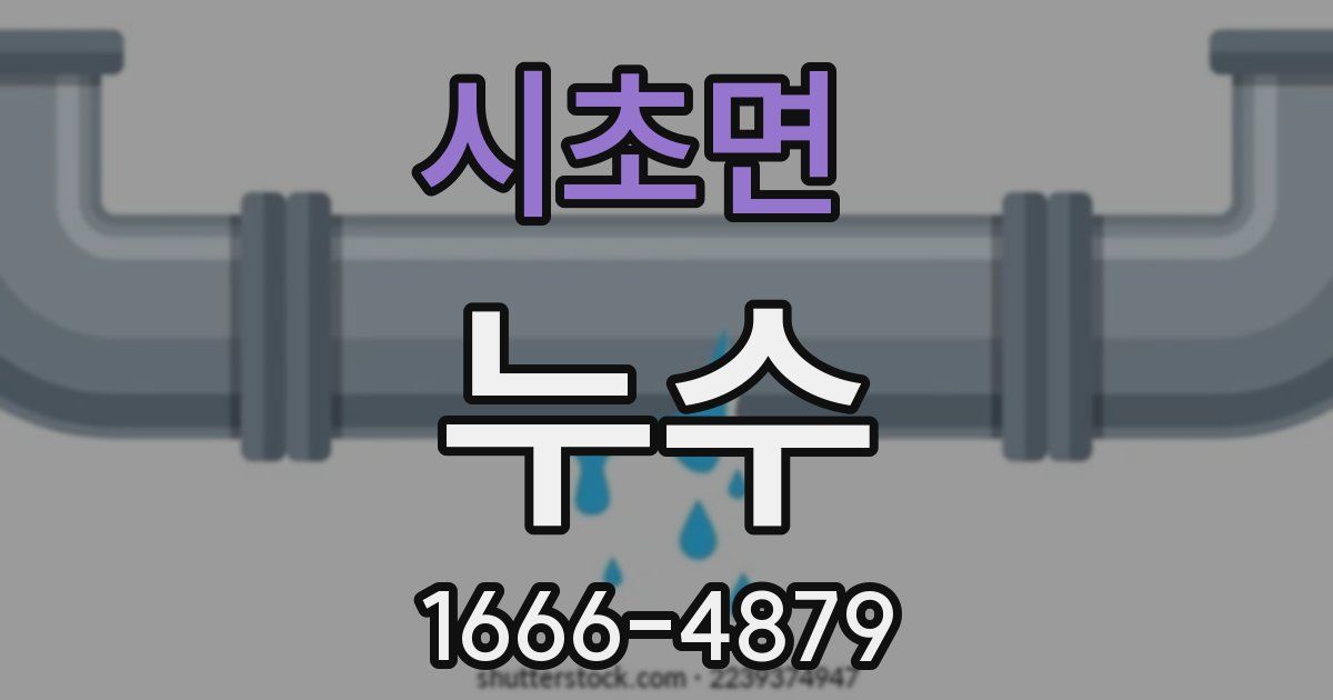 시초면 누수