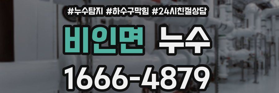 비인면 누수