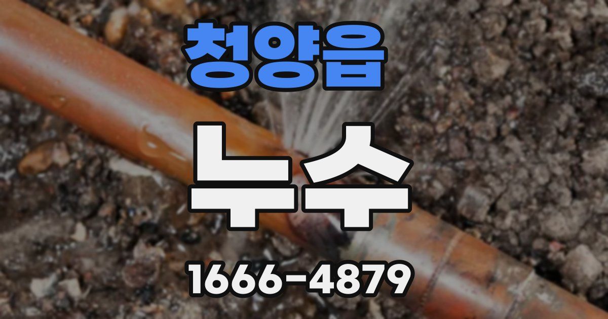 청양읍 누수