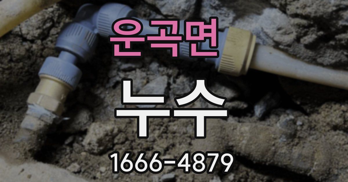 운곡면 누수