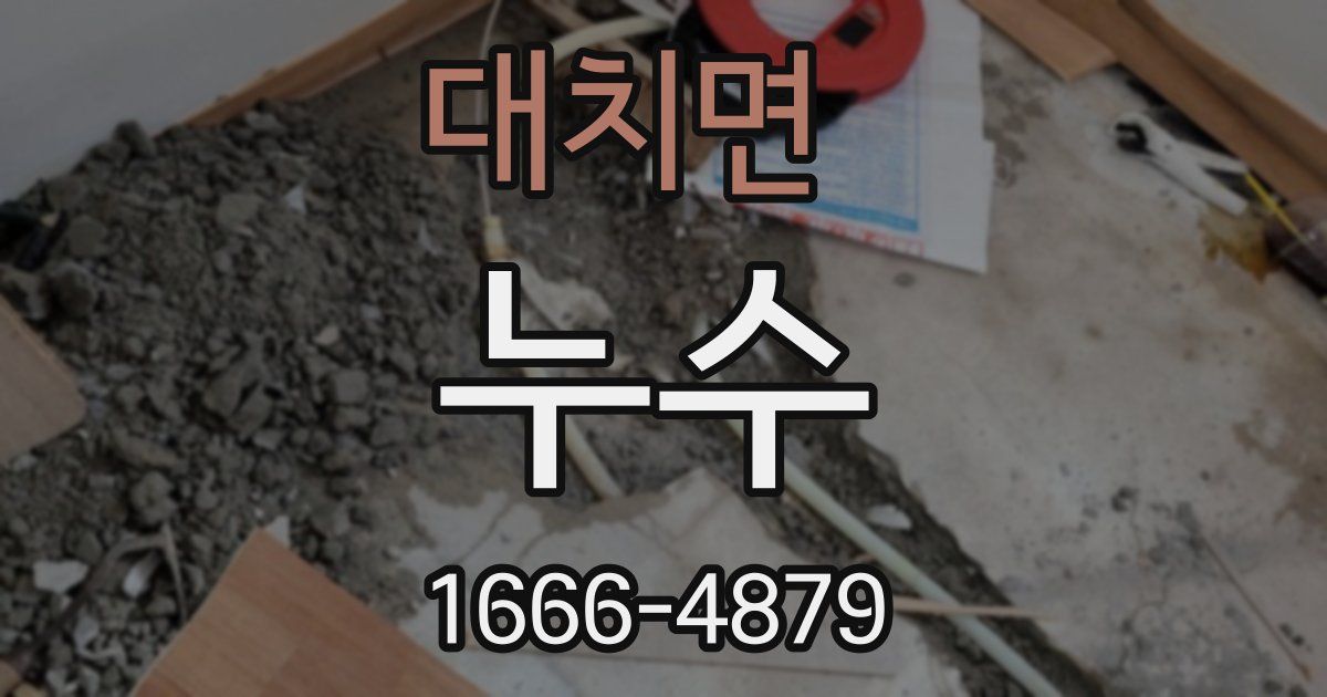 대치면 누수