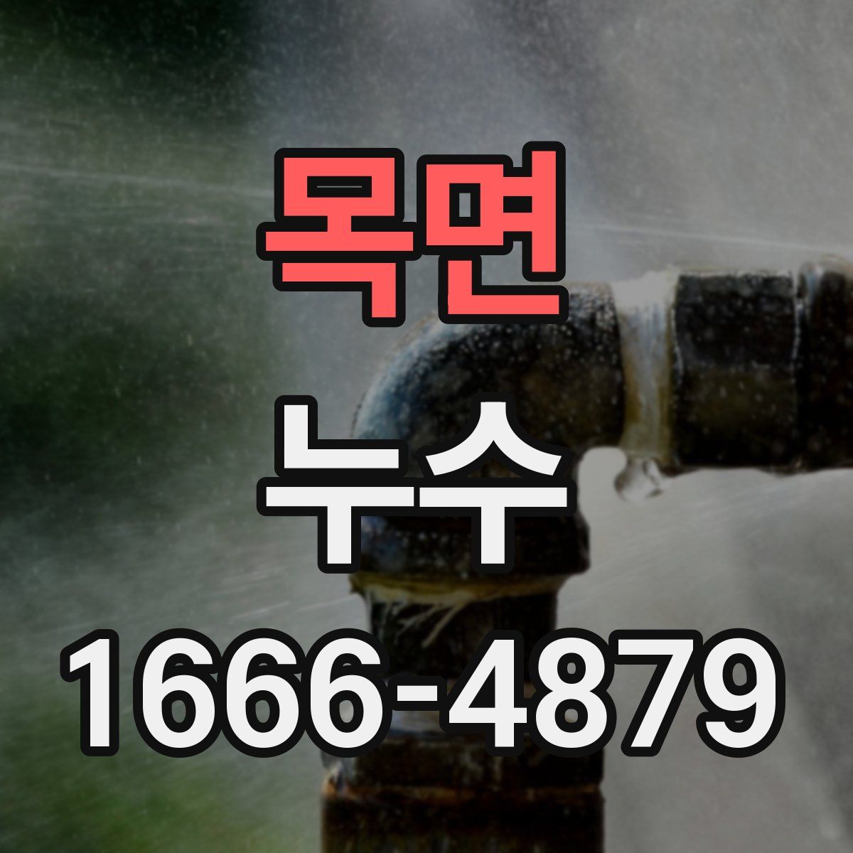 목면 누수