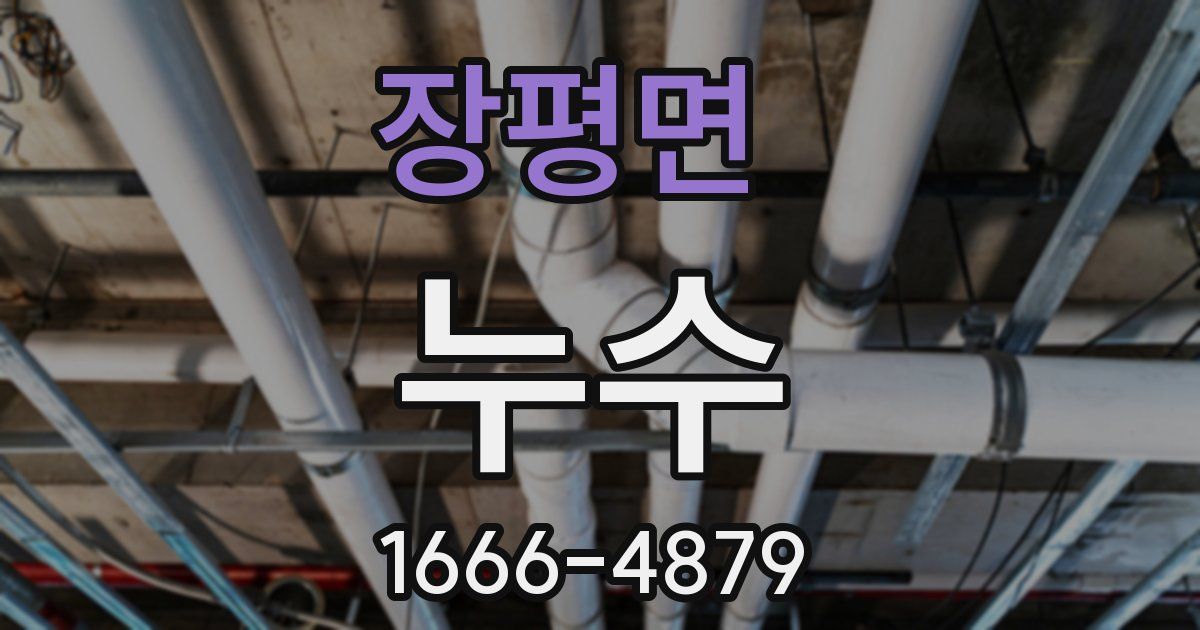 장평면 누수