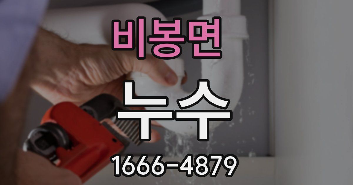 비봉면 누수