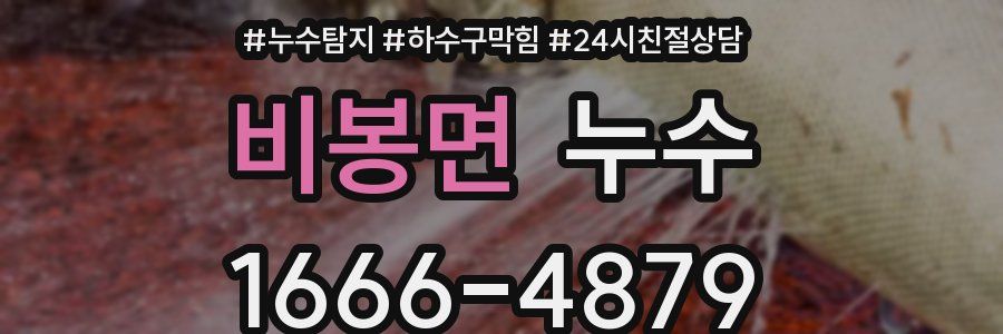 비봉면 누수