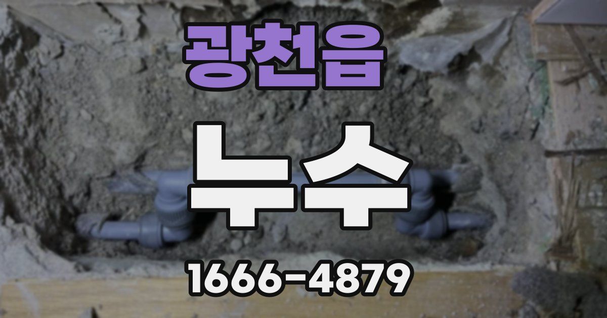 광천읍 누수
