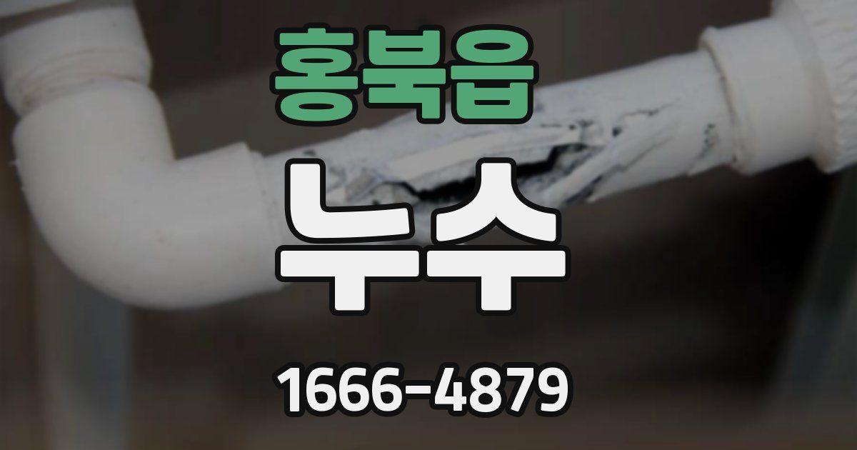 홍북읍 누수