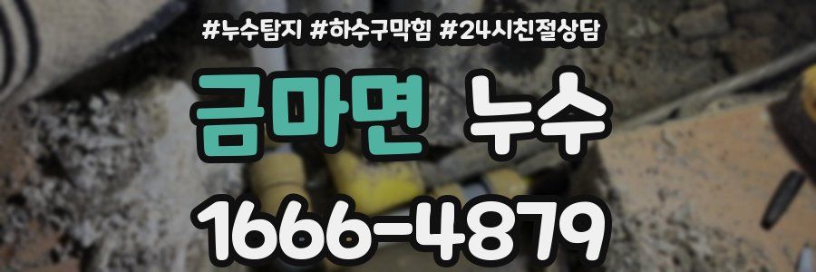 금마면 누수