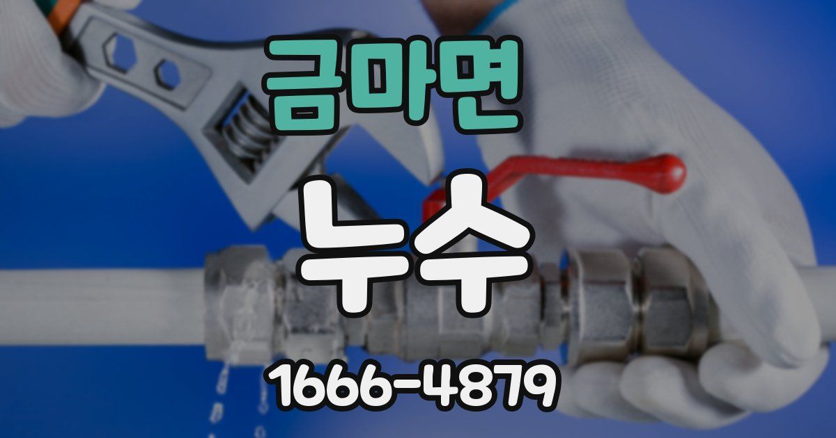 금마면 누수