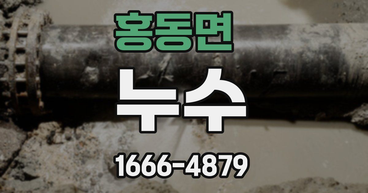 홍동면 누수
