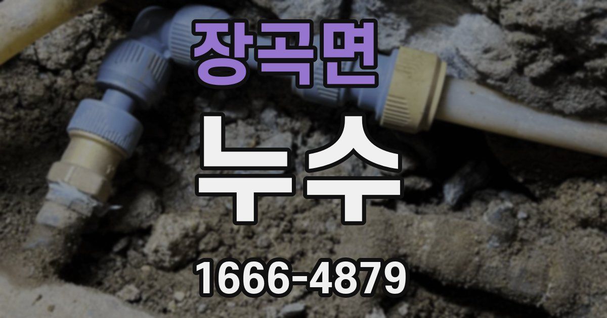 장곡면 누수