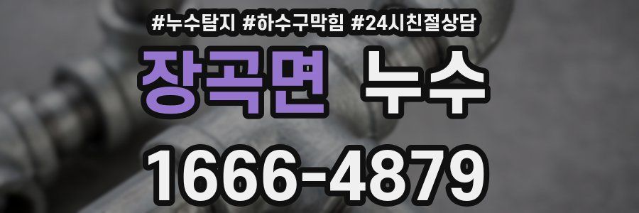 장곡면 누수